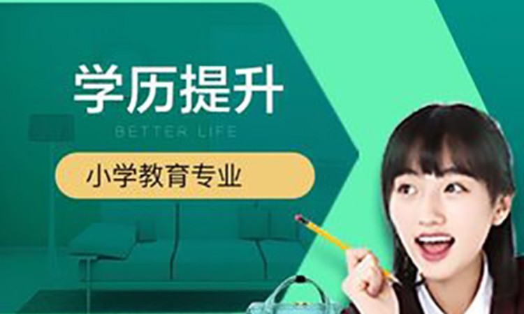 小学教育专业自考课程